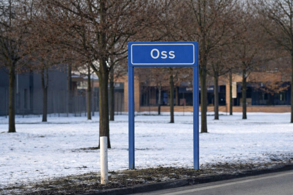 Slotenmaker in Oss – lokale slotenmaker service bij buitensluiting